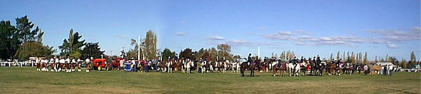 Strath Taieri A & P Centenial Easter Show